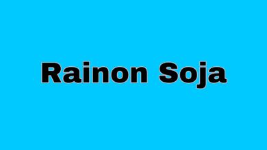 Rainon Soja 11